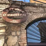 Palazzo Contelori テルニ