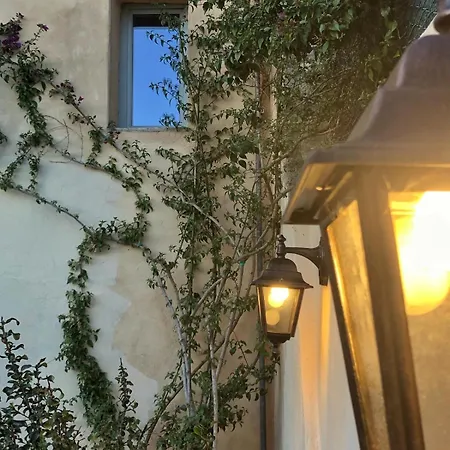 بيت ريفي Palazzo Contelori تيرني