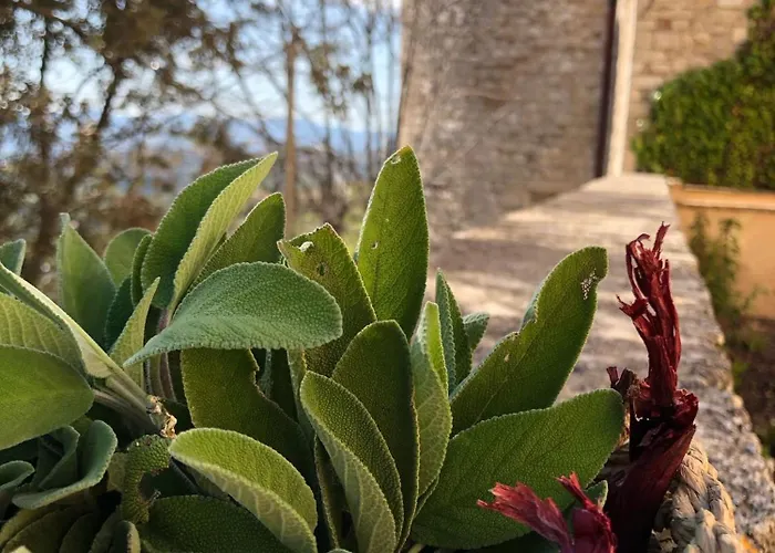 Palazzo Contelori * Terni